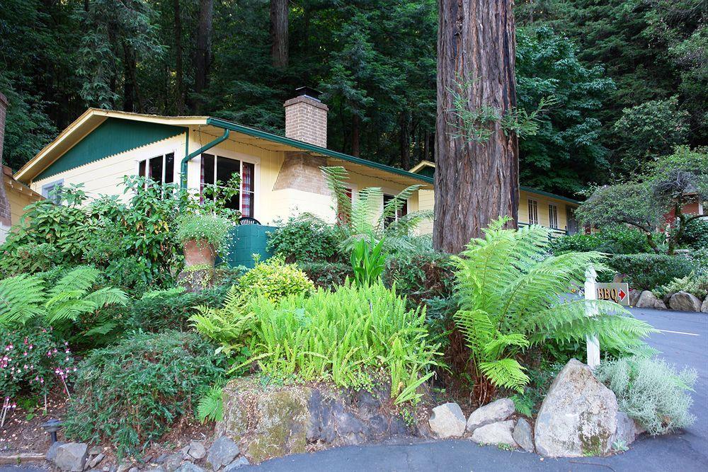Fern Grove Cottages Guerneville Εξωτερικό φωτογραφία