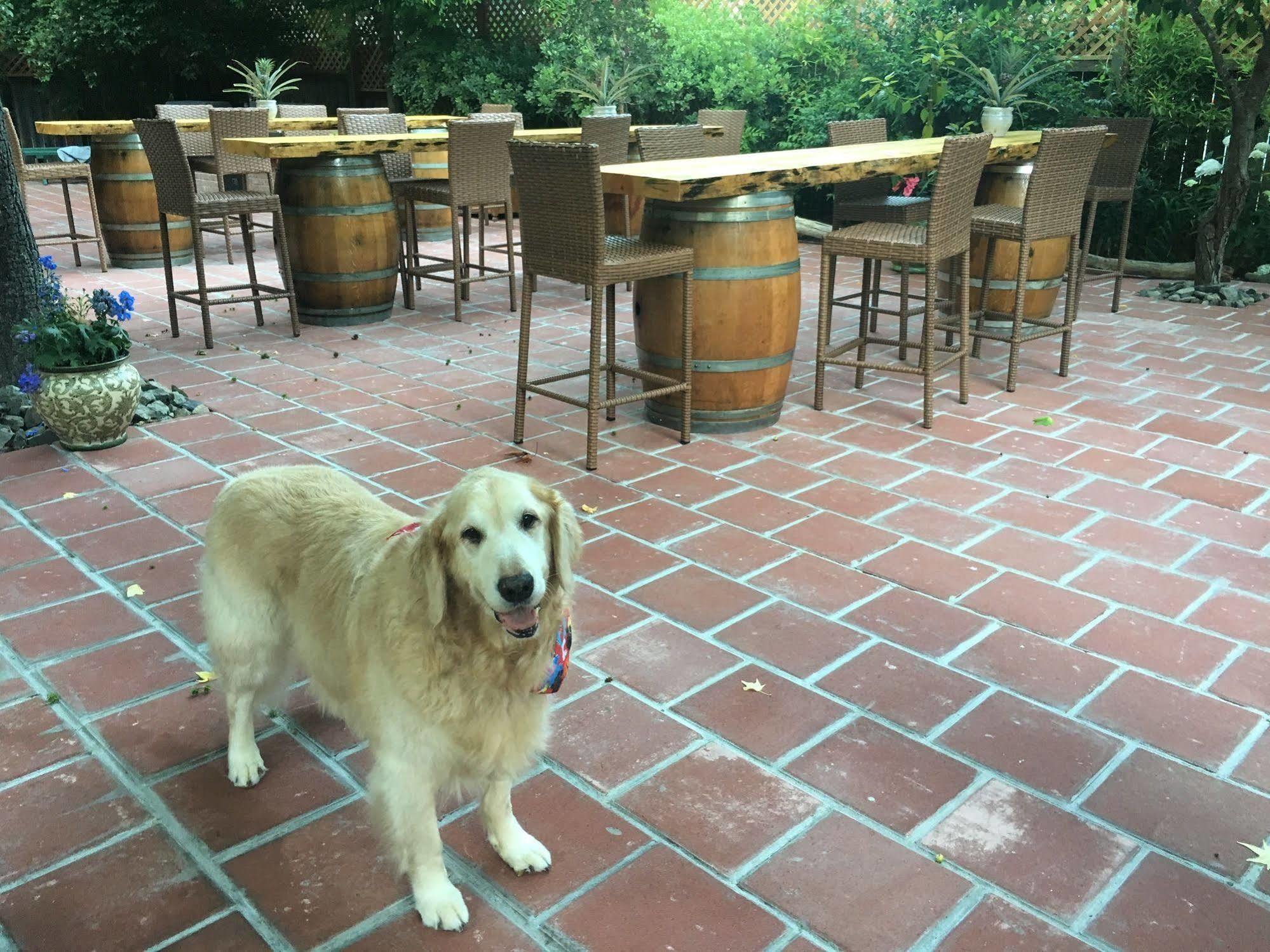 Fern Grove Cottages Guerneville Εξωτερικό φωτογραφία