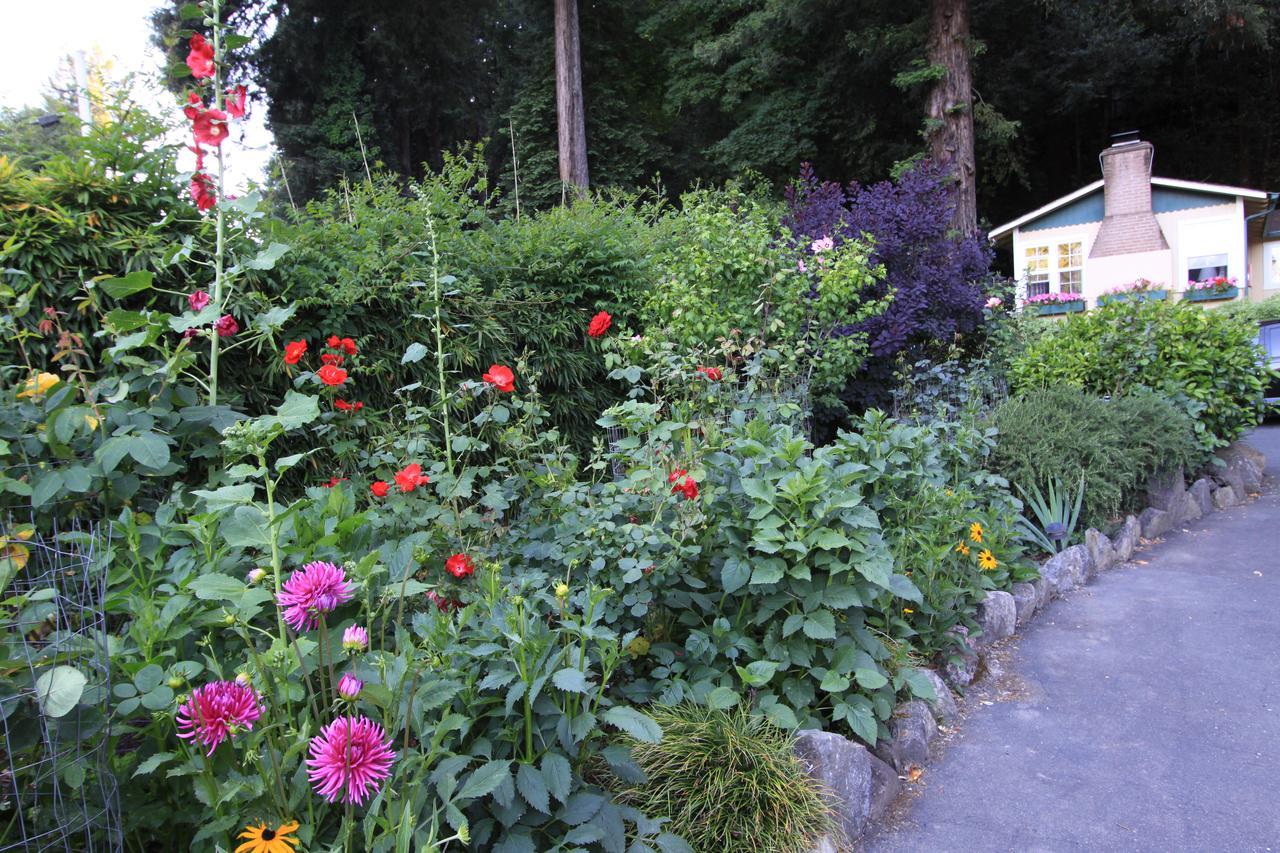 Fern Grove Cottages Guerneville Εξωτερικό φωτογραφία