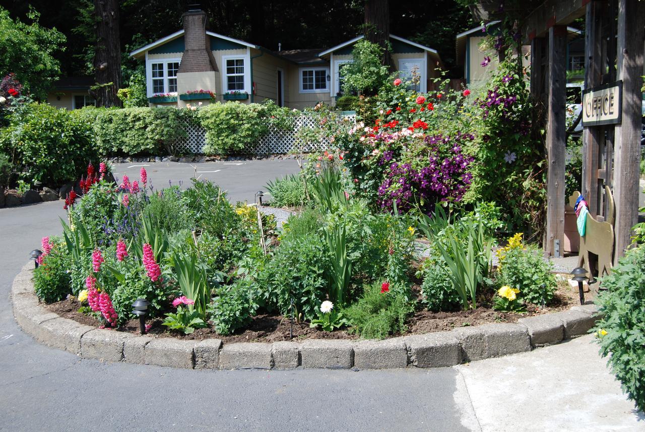 Fern Grove Cottages Guerneville Εξωτερικό φωτογραφία